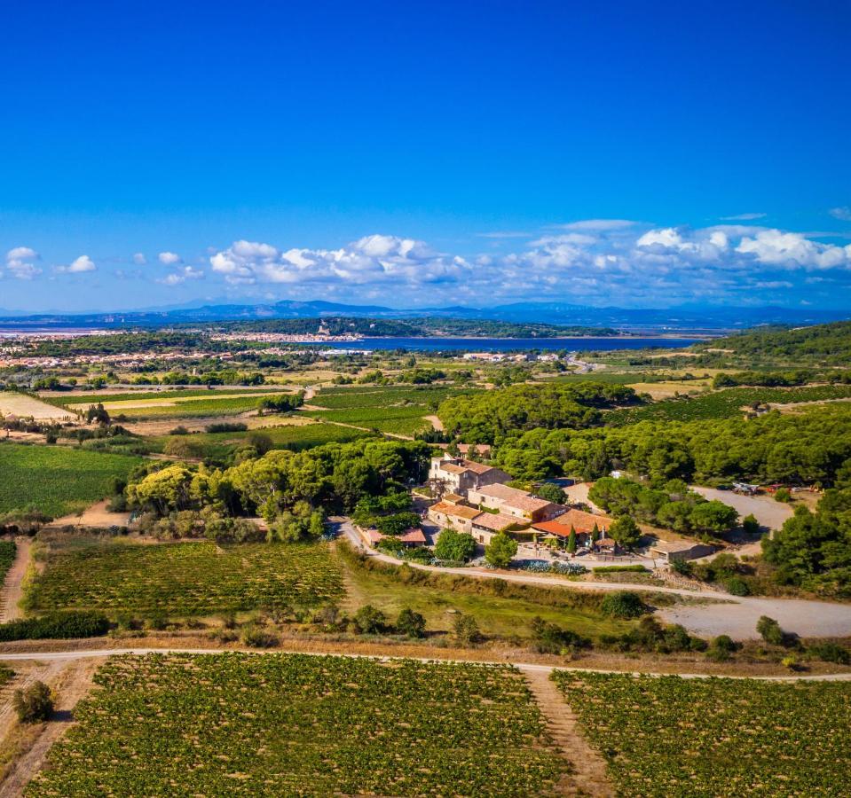 Chateau Le Bouis Gruissan Eksteriør bilde